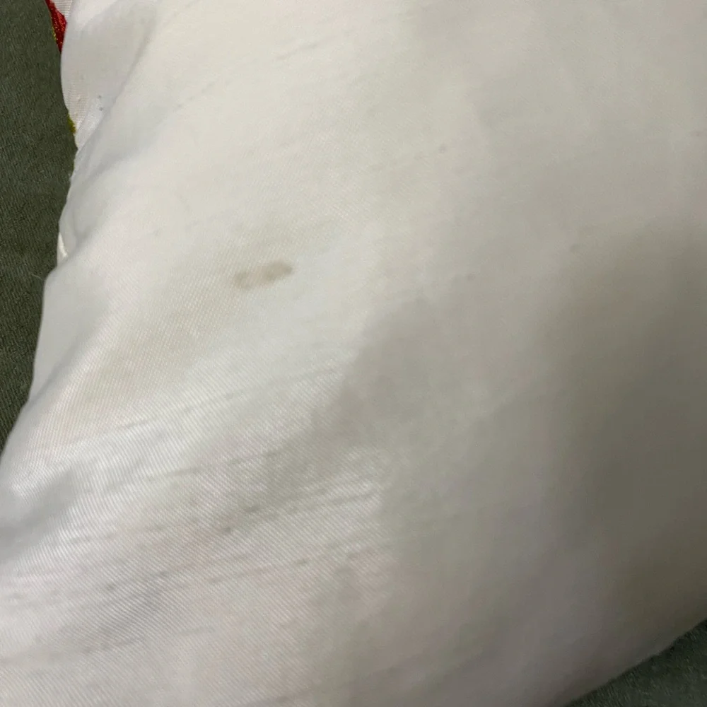 Pier 1 Floral Textured Embroidered pillow throw flowers OSB